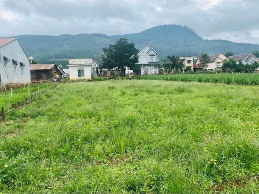 Đất nền Hiệp An 860m² giá 4.5 tỷ - View Núi Voi tuyệt đẹp!