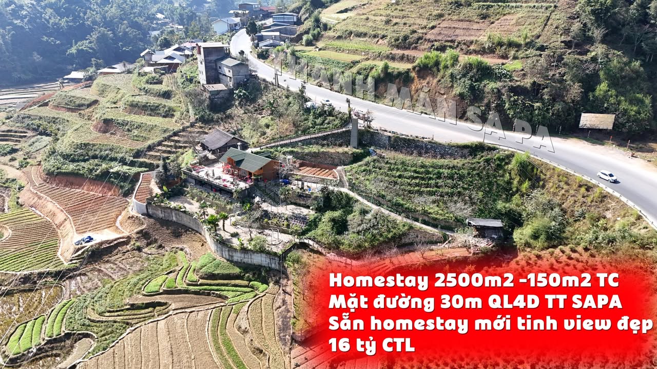 Homestay Sa Pa 2500m² giá 16 tỷ - View đẹp, sẵn sàng vận hành!