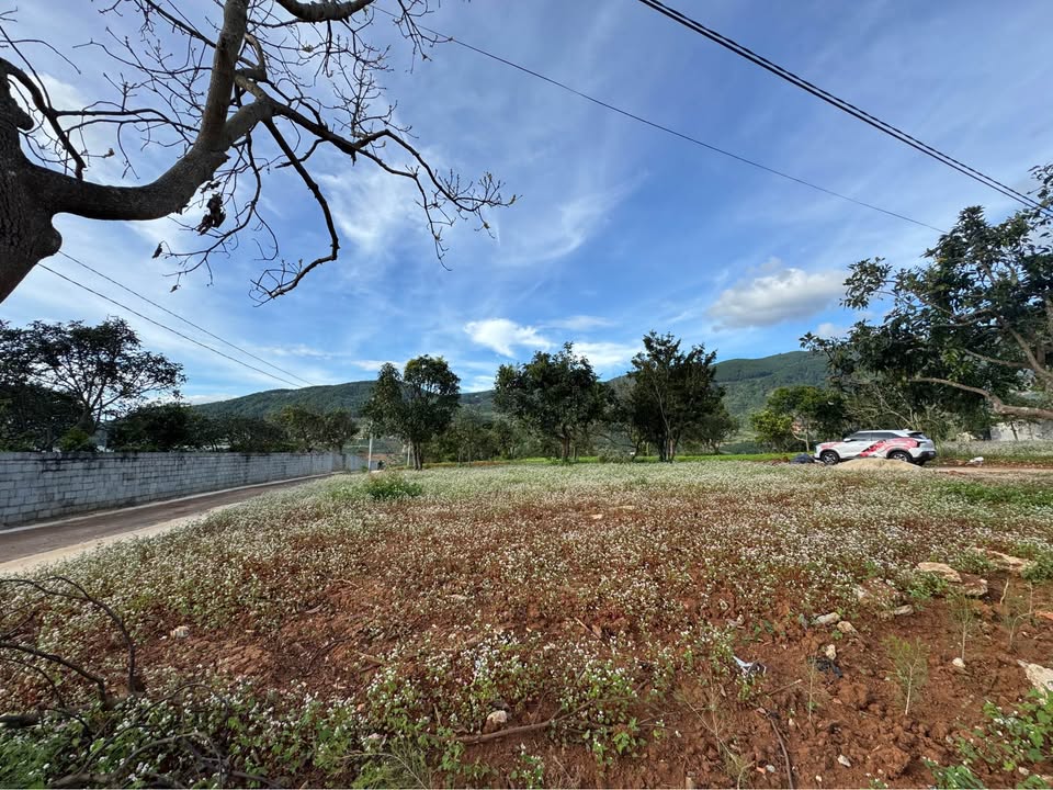 Đất nền Tầm Xá xã Nam Ban, Lâm Hà 200m² - Giá tốt, view hồ hiếm có!