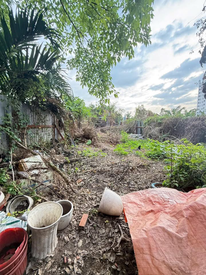 Đất vườn quy hoạch treo Trường Thọ 203m² giá 2.6 tỷ - Cơ hội đầu tư hấp dẫn!