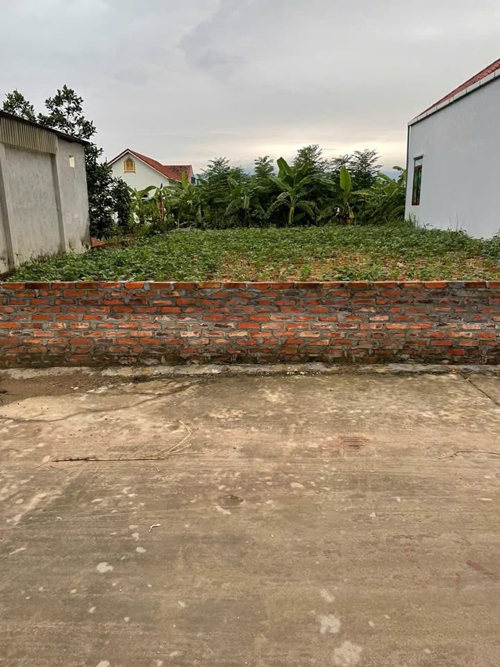 Đất nền Đoan Hạ, Thanh Thủy, Phú Thọ 225m² - Tiềm năng đầu tư sinh lời!