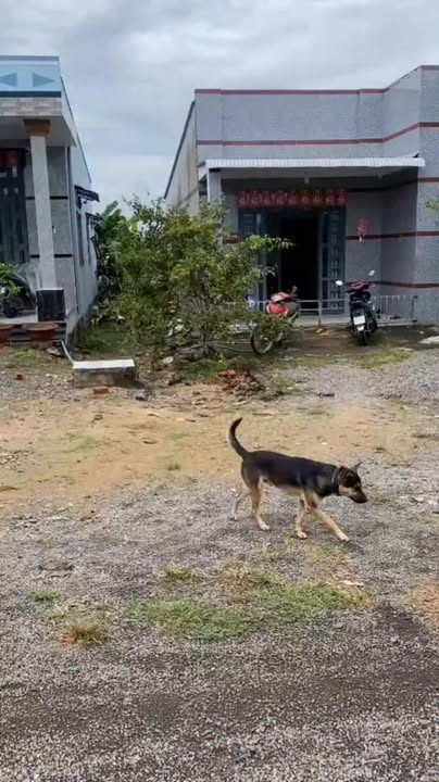 Đất mặt tiền đường Đá Mi 2500m² giá 1.7 tỷ - Đầu tư sinh lời ngay!