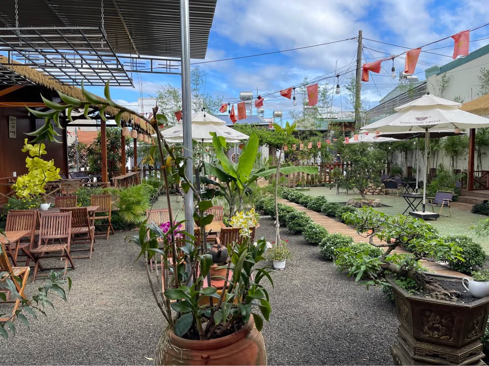 Đất nền có quán cà phê đang kinh doanh tại Hẻm 256 Trường Chinh, Gia Lai - Giá chỉ 4.7 tỷ!