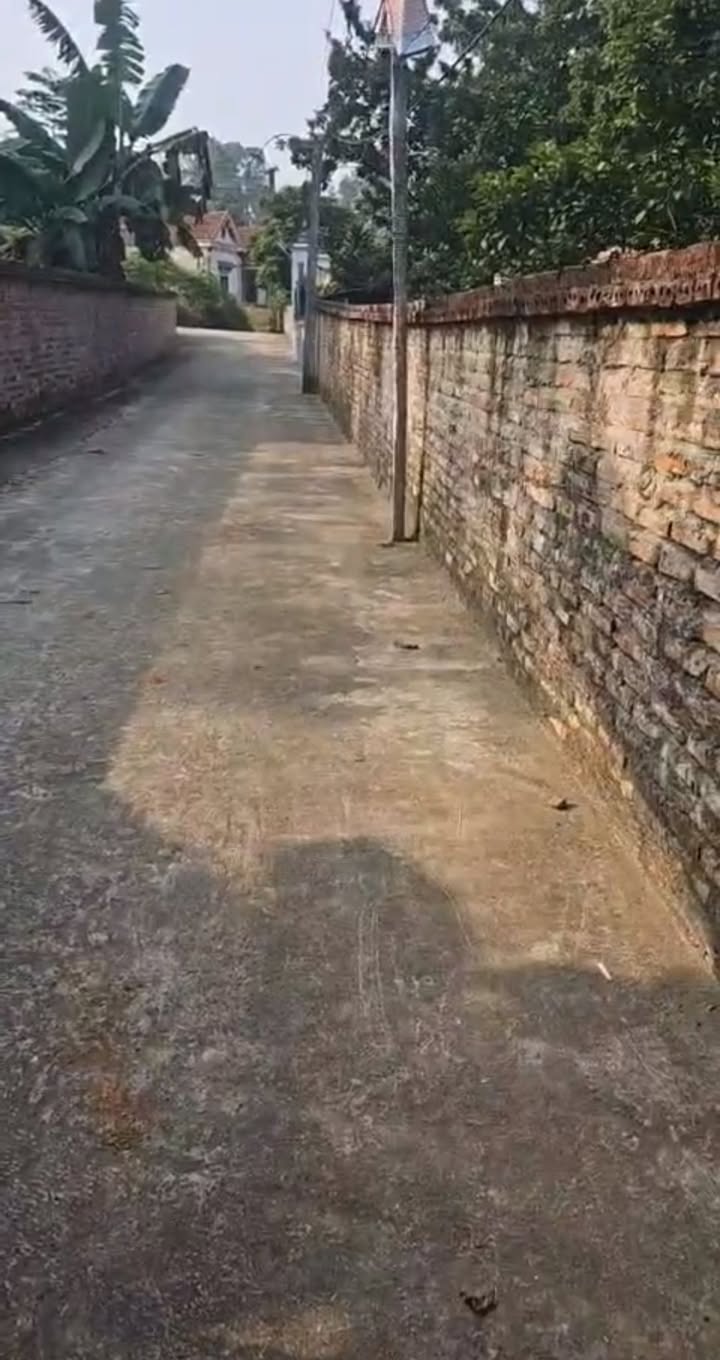 Đất nền 300m² tại Khu 7, Hy Cương, Phú Thọ - Mặt tiền rộng, giá chỉ 1 tỷ!