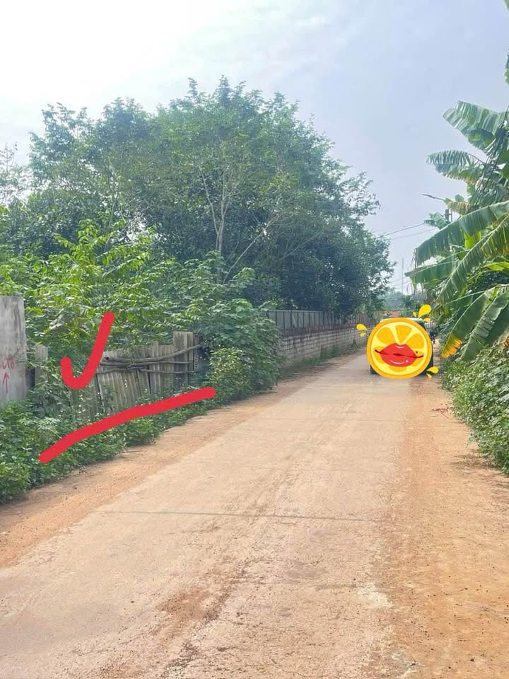 Đất nền Thanh Vân - Tam Dương 112m² chỉ 9xx triệu - Vị trí giao thông thuận lợi!