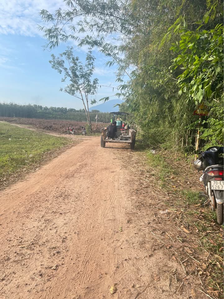 Đất nền Ninh Thạnh Tây Ninh 135m² giá 300 triệu - Đầu tư sinh lời ngay!