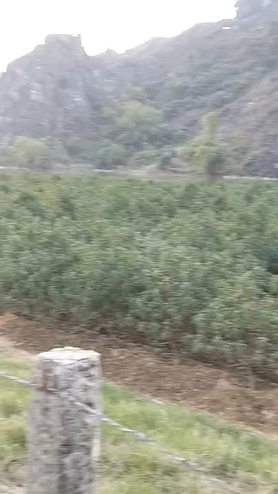 Đất thổ cư 2500m² tại Gia Lâm, Ninh Bình - Giá chỉ 400 triệu, sẵn sàng giao dịch!