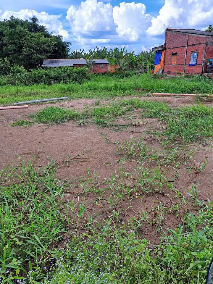 Đất nền lộ nhựa tại khu Lò Gốm, Mỹ Phước, 986.5m² giá chỉ 1.973 tỷ - Cơ hội đầu tư hiếm có!