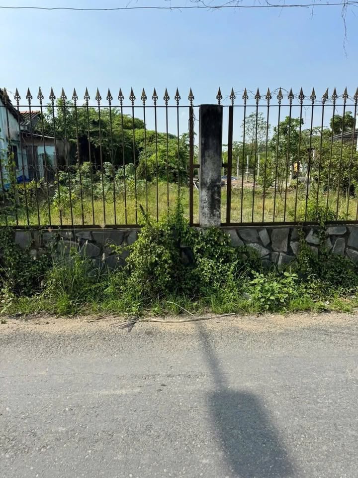 Đất Vườn Mỹ Lộc Cần Giuộc 530m² giá 3.1 tỷ - Tiện ích đầy đủ, vị trí đắc địa!