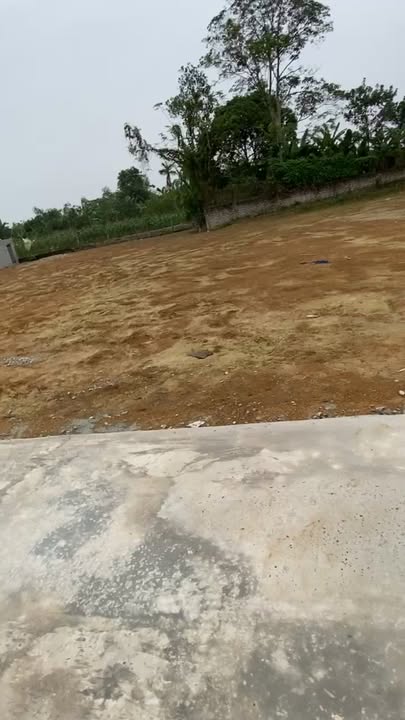 Đất thổ cư 200m² tại xã Tăng Thành, huyện Yên Thành chỉ 600 triệu - Đầu tư sinh lời ngay!