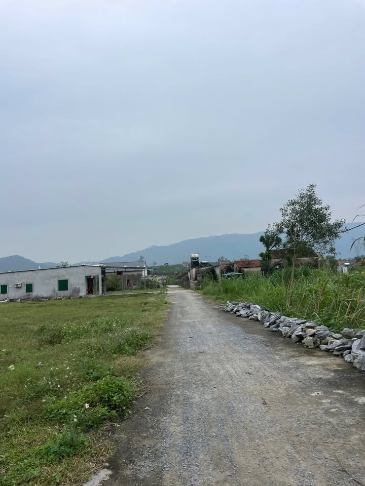 Đất nền Nghi Kiều 160m² giá 500 triệu - Đường thông thoáng, vị trí đẹp!