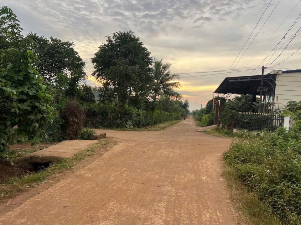 Đất nền Ea Kly Krông Pắc 150m² giá 300 triệu - Đầy đủ tiện ích sống!