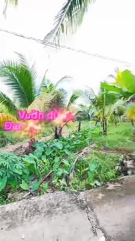 Đất nền Long Tuyền Bình Thủy 594m² giá 1.35 tỷ - Cơ hội đầu tư tốt!