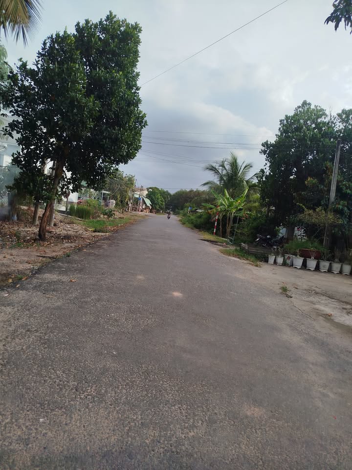 Nhà đất đường Trần Đại Nghĩa, Thị trấn Tân Biên, 163m² giá 900 triệu - Sổ hồng chính chủ!