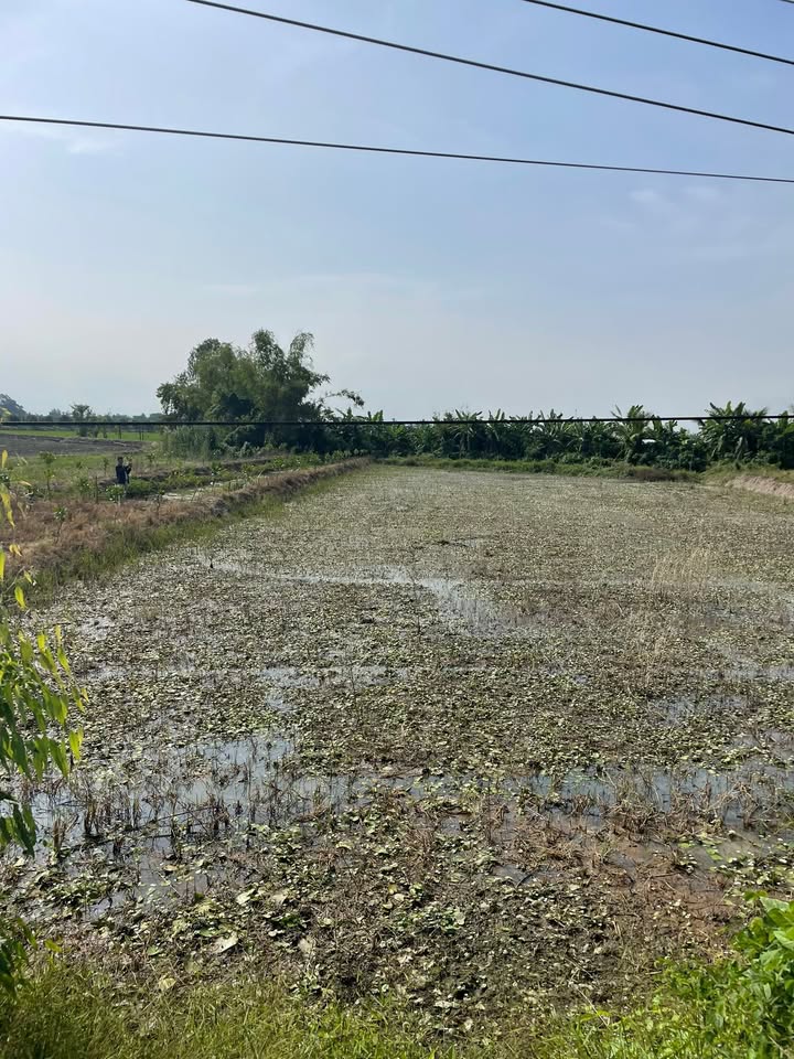 Đất mặt tiền 15m tại Phường Mỹ Ngãi, Cao Lãnh 1000m² - Giá chỉ 640 triệu!