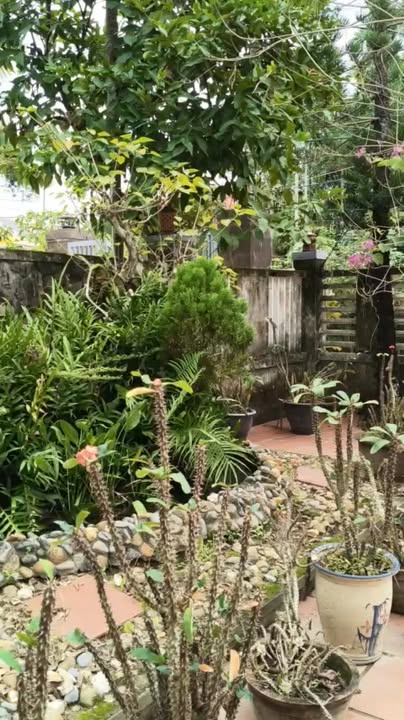 Nhà 2 tầng Cẩm Thanh 442m² giá 10 tỷ - Chính chủ bán gấp!