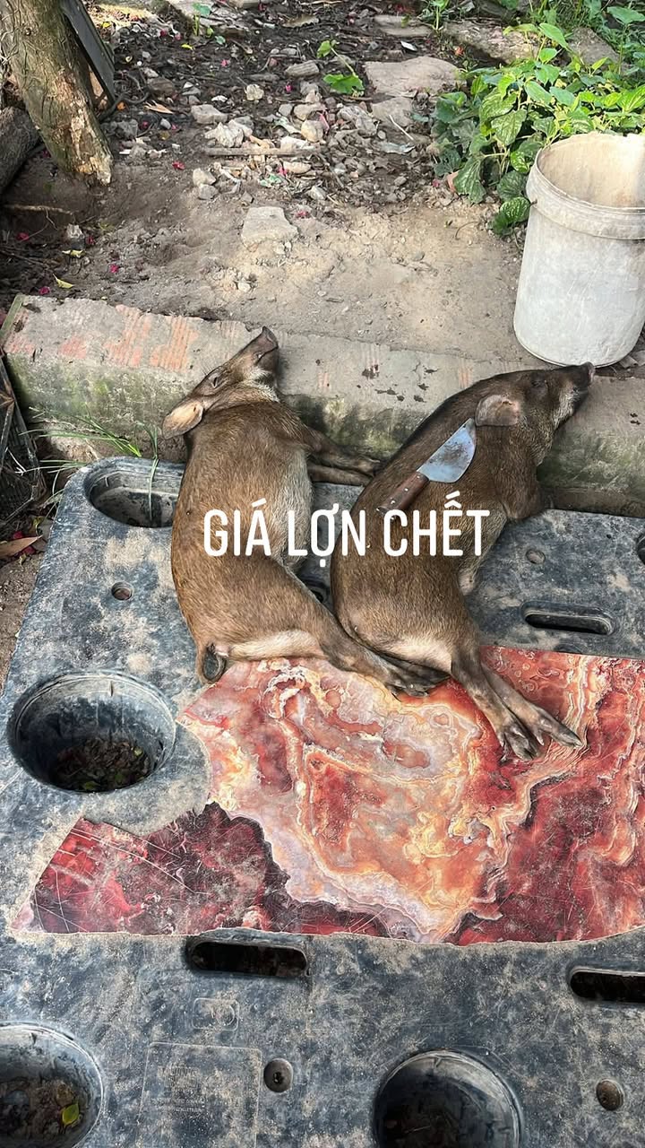 Đất nền Hiệp Phước Nhơn Trạch 150m² giá 3 tỷ - Cơ hội đầu tư không thể bỏ qua!