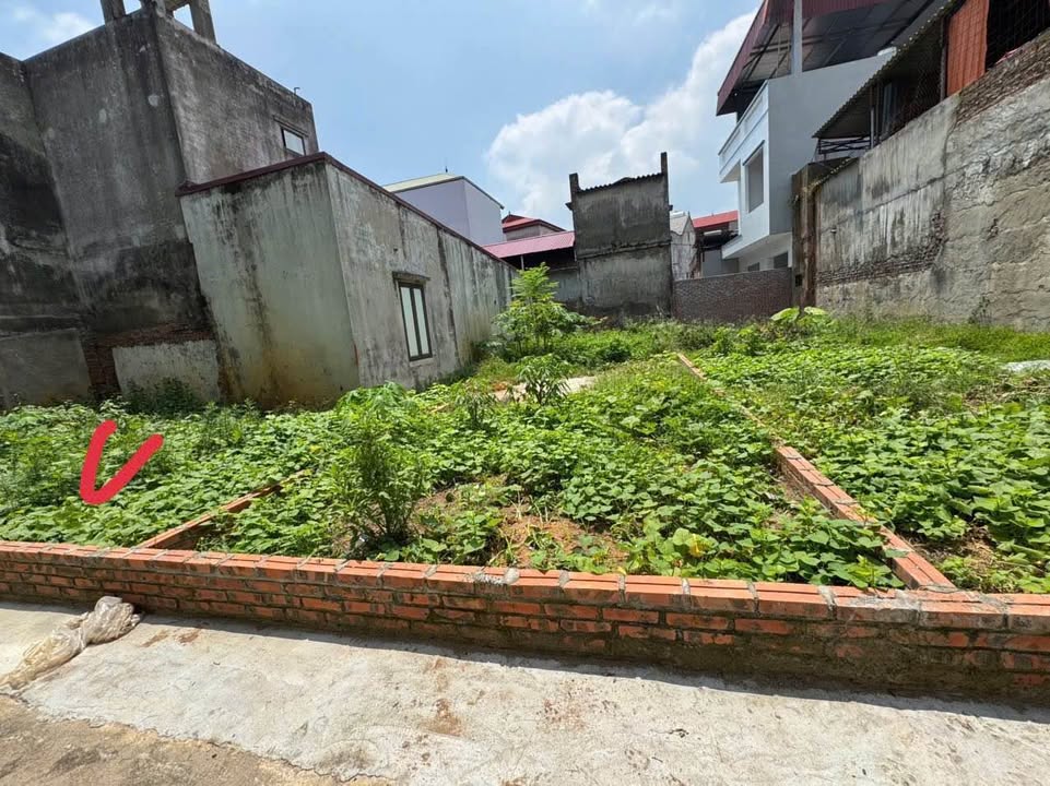 Đất nền Tam Sơn, Từ Sơn, Bắc Ninh 42m² giá chỉ 900 triệu - Đầu tư sinh lời ngay!