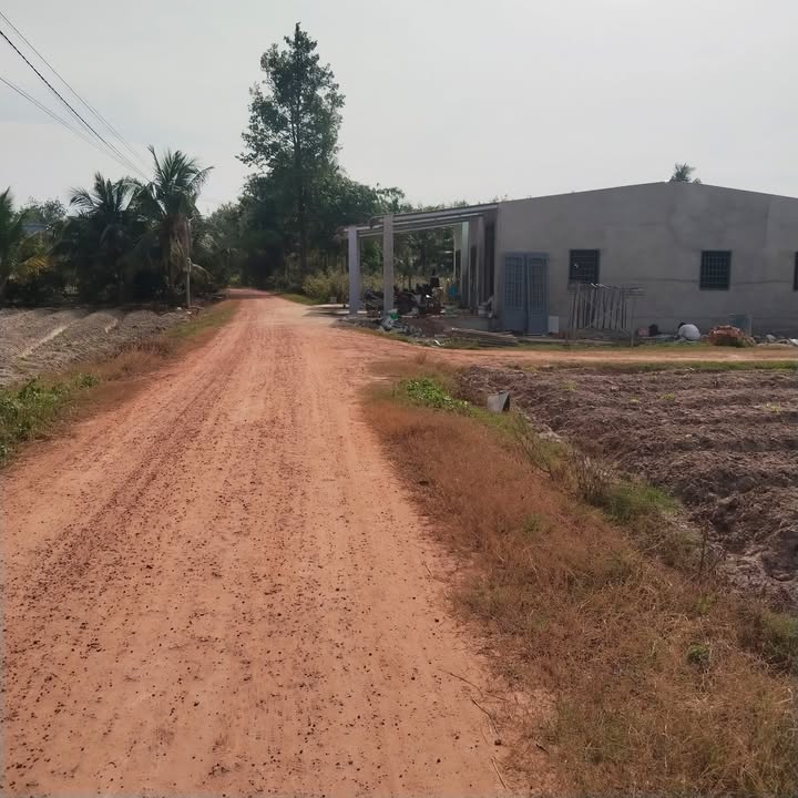 Đất nền Tân Phong 150m² giá 199 triệu - Cơ hội đầu tư tuyệt vời!