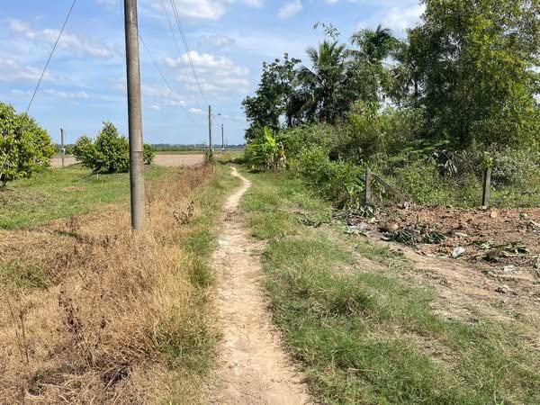 Đất nền ấp Long Hòa 2, xã Long Chữ, Tây Ninh 138m² giá 195 triệu - Cơ hội đầu tư tuyệt vời!