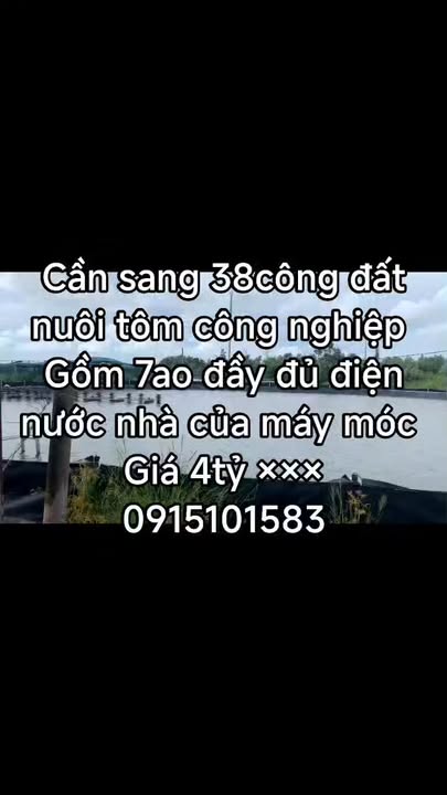 Farm 38.000m² tại Hàm Rồng, Cà Mau giá 4 tỷ - Cơ hội đầu tư tuyệt vời!