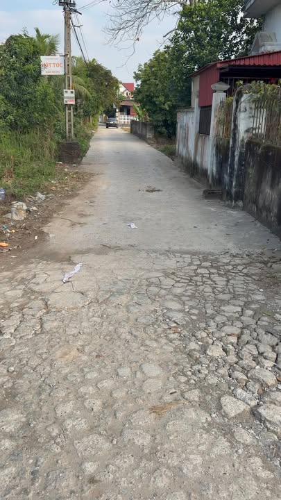 Đất nền thôn Đông Lâm, Lạc Phượng 313m² giá 1.6 tỷ - Cơ hội đầu tư hiếm có!