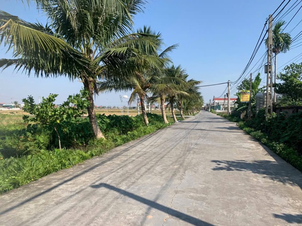 Đất nền Văn Tố - Tứ Kỳ 200m² giá chỉ từ 200 triệu - Cơ hội đầu tư hấp dẫn!