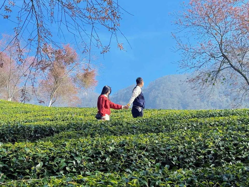 Đất nền Quảng Đông Thanh Hóa 85m² giá 1 tỷ - Cơ hội đầu tư tốt!