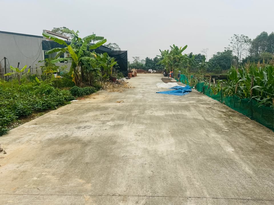 Đất nền 130m² tại Khu phố Thành, Xã Cao Xá, giá mềm - Đầu tư sinh lời ngay!