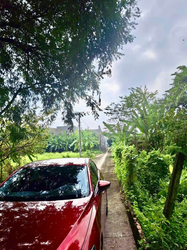 Đất nền Hưng Lộc, Vinh 1004m² giá 1.1 tỷ - Sổ hồng chính chủ