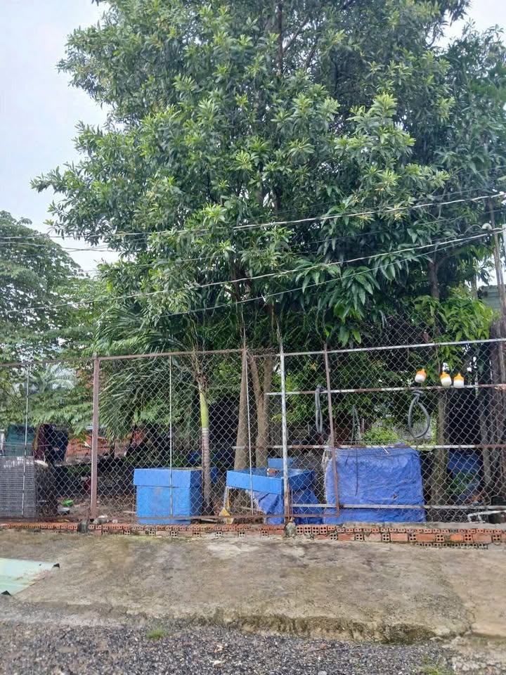 Đất trống đường 10, phường Linh Xuân, 300m² giá 2.8 tỷ - Sổ hồng riêng, vị trí đẹp!