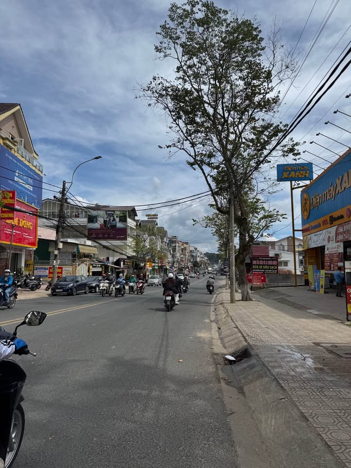 Đất thổ cư 1.126m² mặt tiền đường Phan Chu Trinh Đà Lạt - Giá tốt nhất khu vực!
