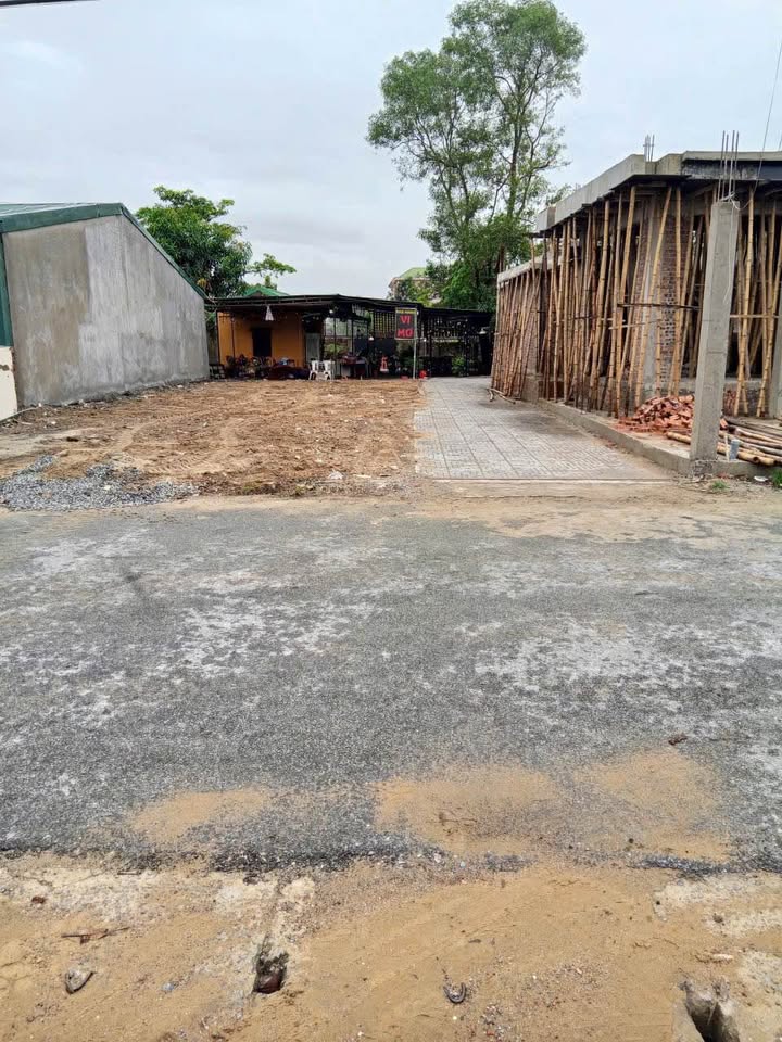 Đất Kinh Doanh Đường Mai Lão Bảng, Nghi Phú 105.5m² - Vị trí Đẹp, Giá Hấp Dẫn!