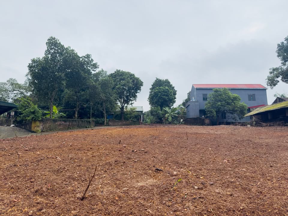 Đất nền thanh lịch 200m² tại khu phố 4 Thanh Hà - Giá chỉ 400 triệu - Sổ đỏ chính chủ