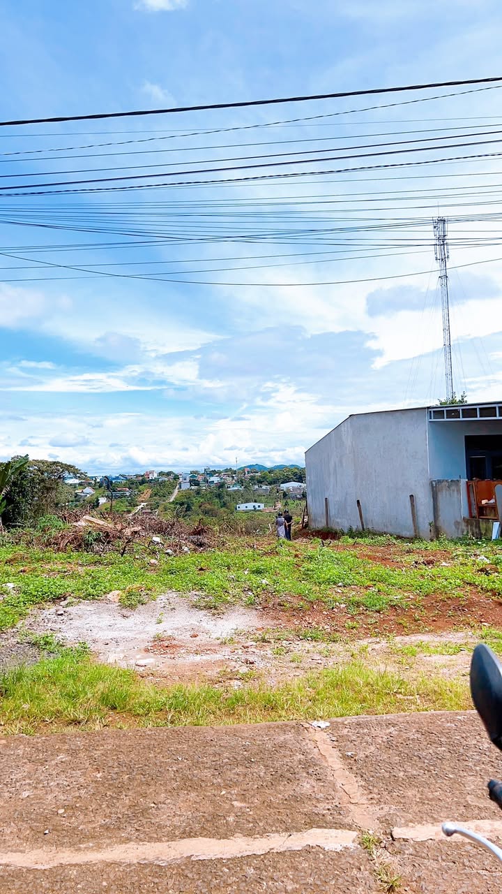 Đất nền mặt tiền tổ dân phố 6, phường Nam Gia Nghĩa 2000m² - Giá chỉ 1,65 tỷ!