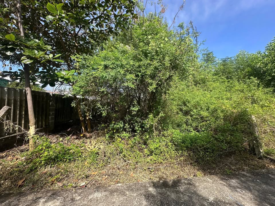 Đất thổ cư Tân Thiện La Gi 184m² giá 1.3 tỷ - Đầu tư sinh lời ngay!