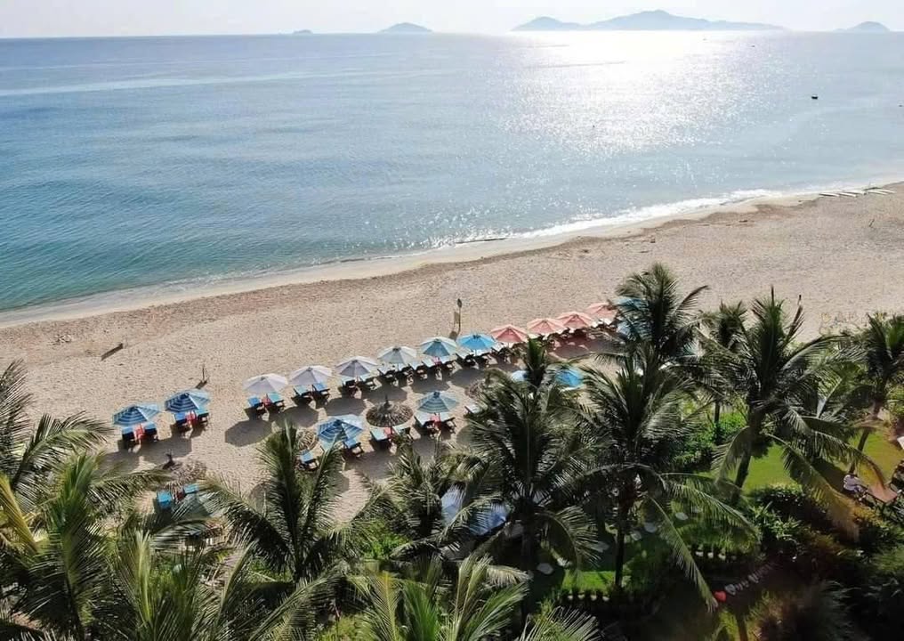 Đất ven biển Điện Bàn Đông - Đà Nẵng 150m² giá 2.2 tỷ - Cơ hội đầu tư sinh lời!