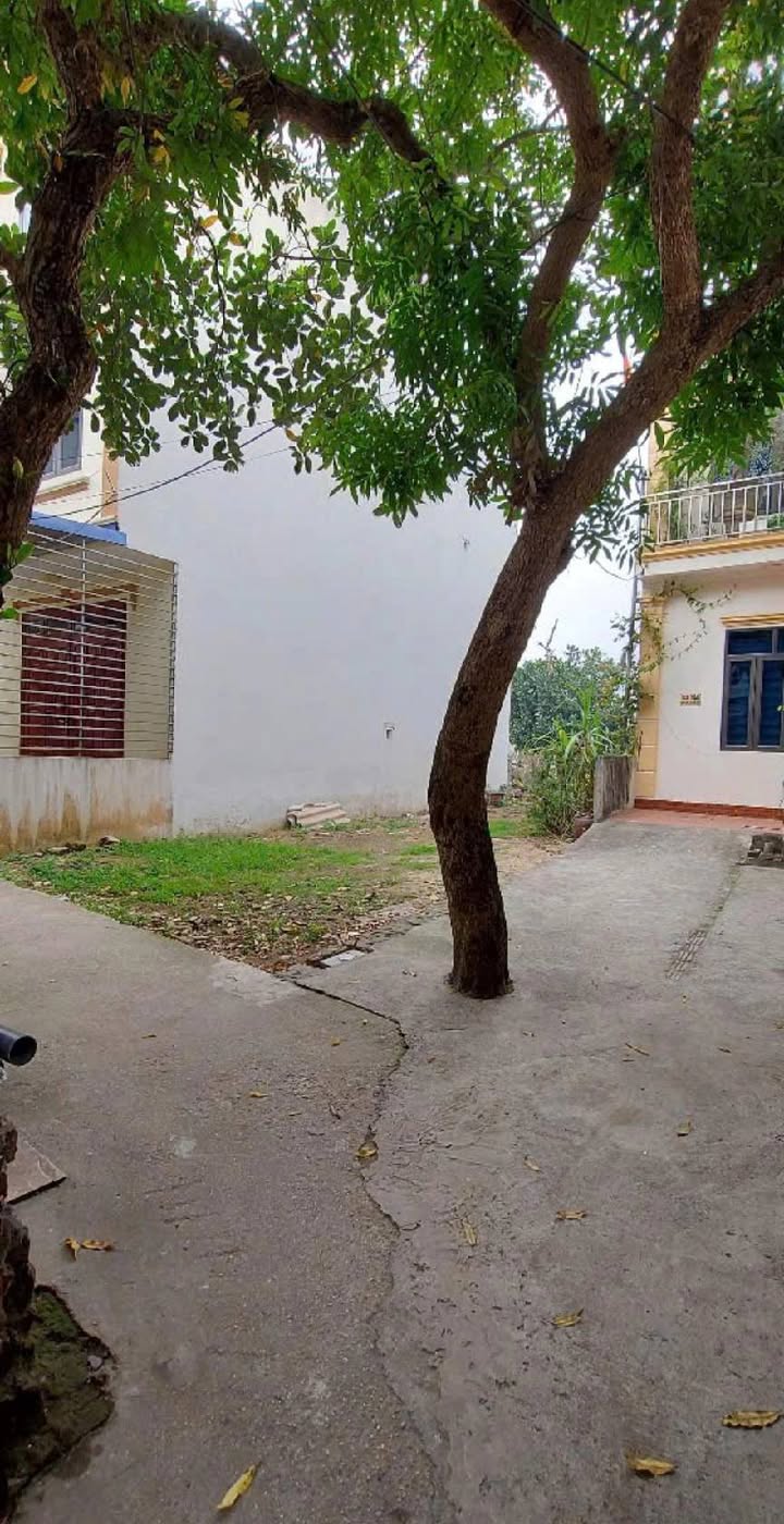 Đất Biên Giang Hà Đông 79.6m² giá 3.8 tỷ - Sổ đỏ chính chủ, vị trí đắc địa!