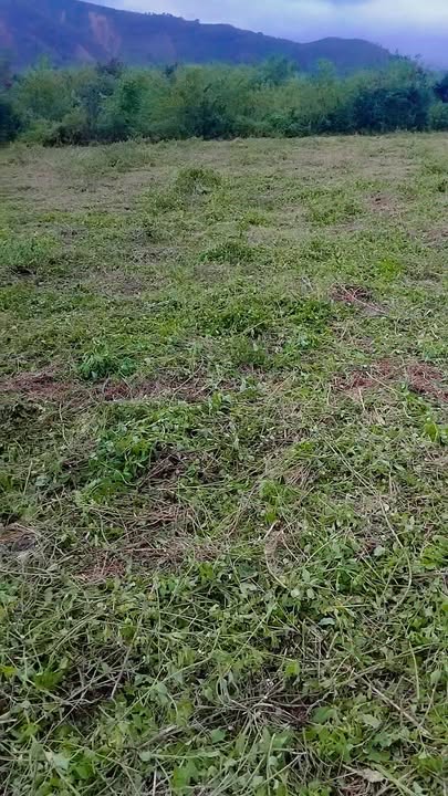 Đất nền Sơn Thành Đông 1ha giá chỉ 264 triệu - Cơ hội đầu tư tuyệt vời!