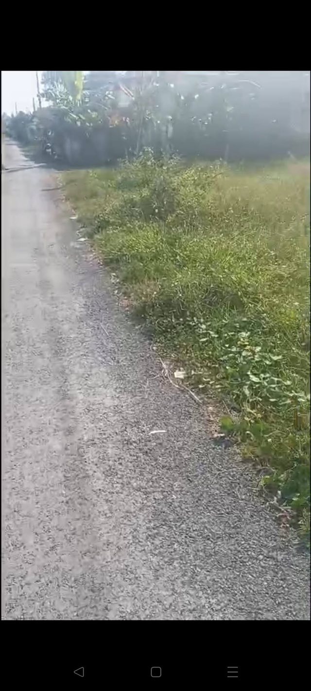 Đất nền 520m² mặt tiền đường nhựa tại Đồng Thạnh, Gò Công Tây - Giá chỉ 600 triệu!