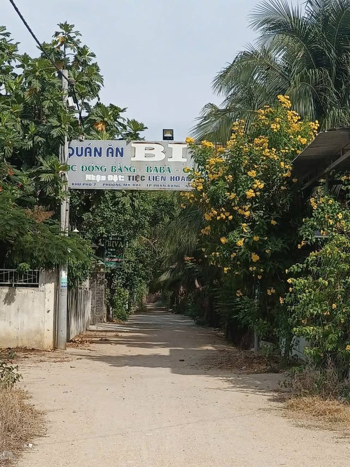 Đất nền 300m² phường Tấn Tài, Phan Rang-Tháp Chàm - Giá đầu tư chỉ 700 triệu!