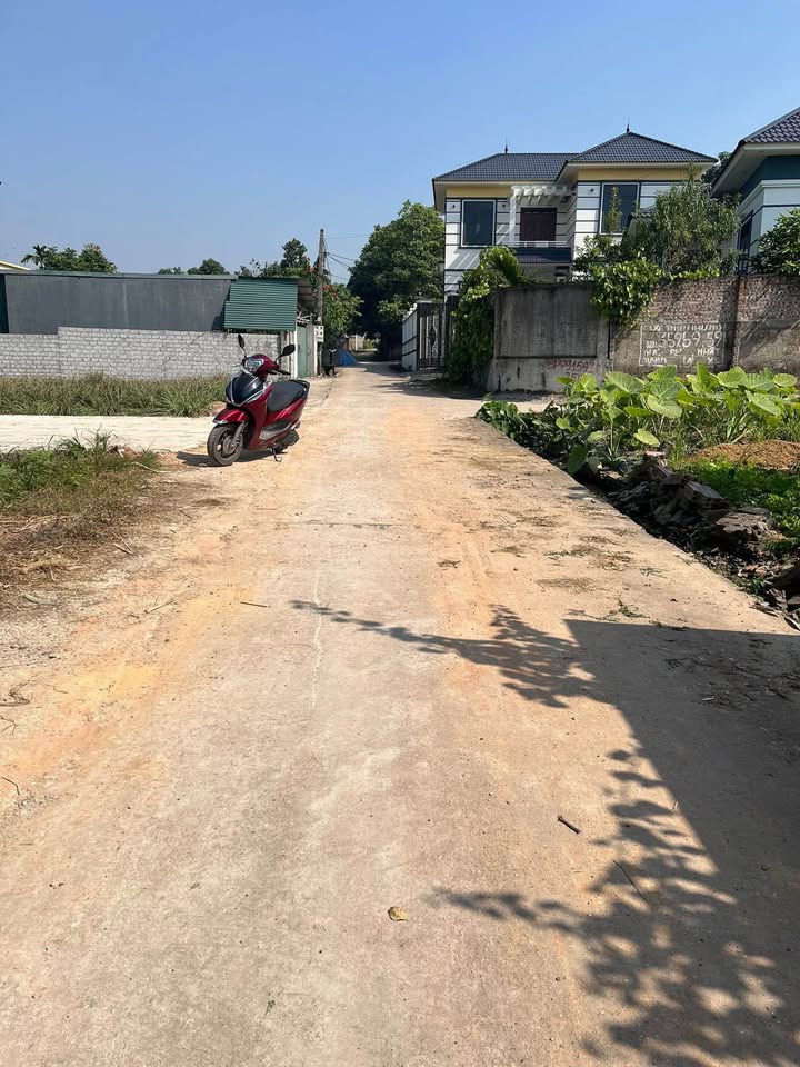 Đất Hướng Đạo Tam Dương 300m² giá 1.5 tỷ - Sát cổng KCN, đường thông thoáng!