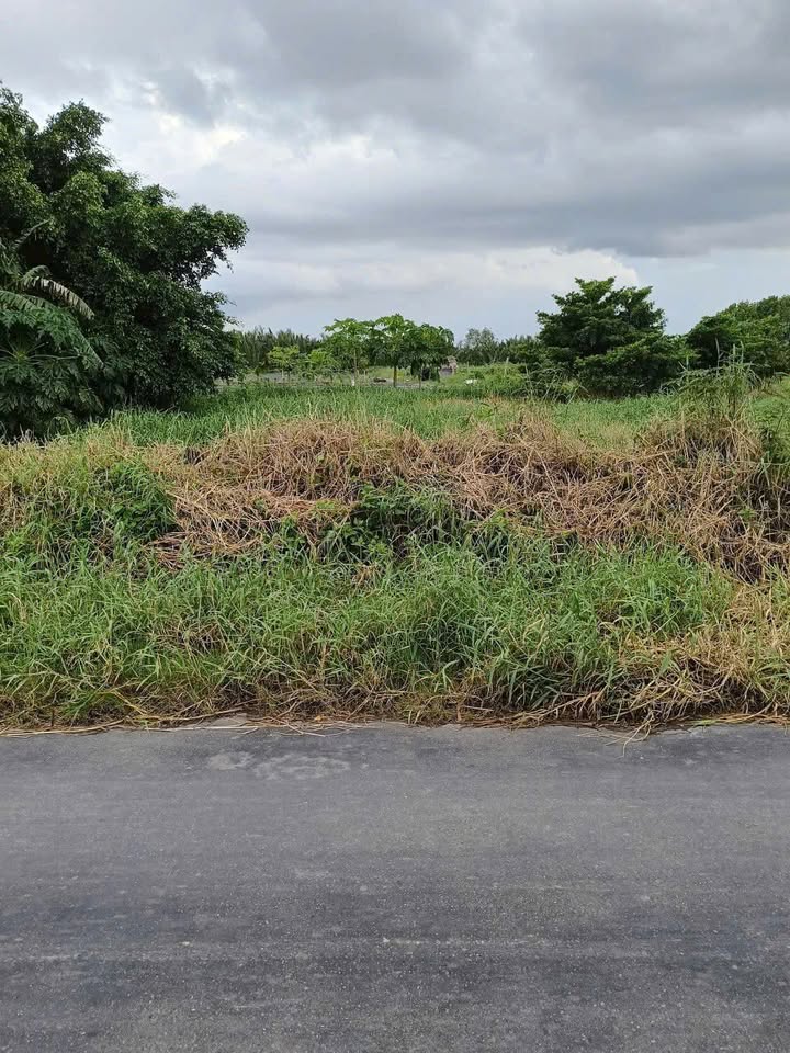 Đất nền chính chủ xã Thạnh Phước, 1345m² giá 1.755 tỷ - Nằm ngay mặt tiền đường lớn!