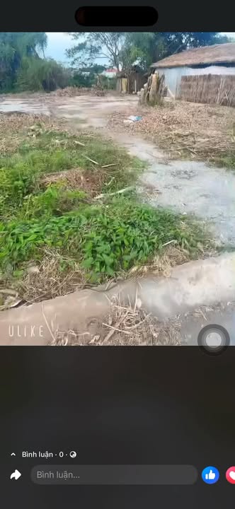 Đất thổ cư 740m² tại Bình Đại, Bến Tre - Giá chỉ 4 tỷ, thương lượng tốt!