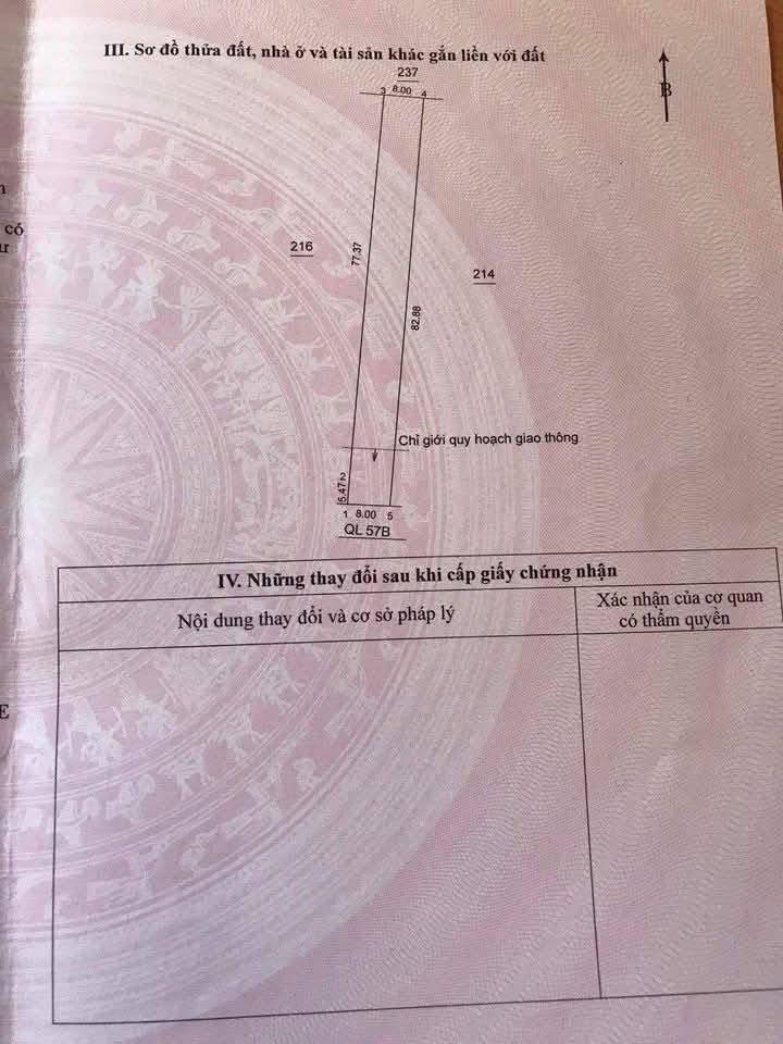 Đất mặt tiền Quốc lộ 57b, xã Vang Quới Đông, 656m² - Cơ hội đầu tư hấp dẫn!