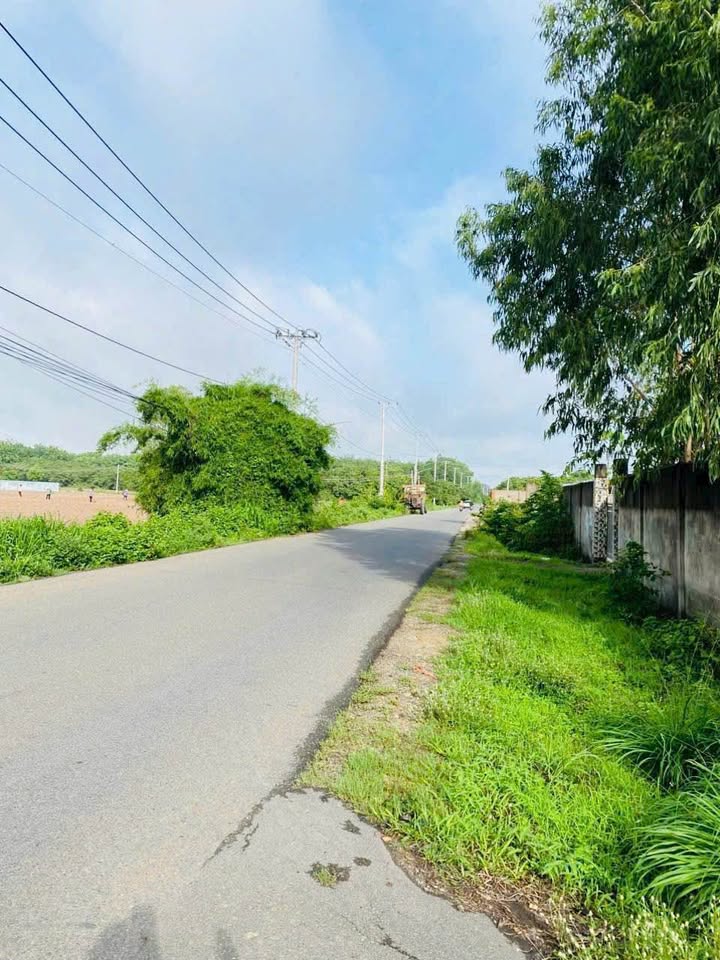 Đất nền ấp 5 xã Tóc Tiên, TP Phú Mỹ 100m² giá chỉ 250 triệu - Cơ hội đầu tư tuyệt vời!