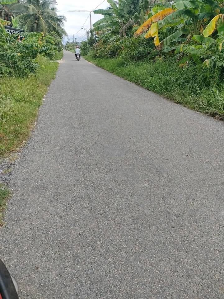 Đất mặt tiền Đê Tây 506m² giá 850 triệu - Cần bán gấp vì lý do gia đình!