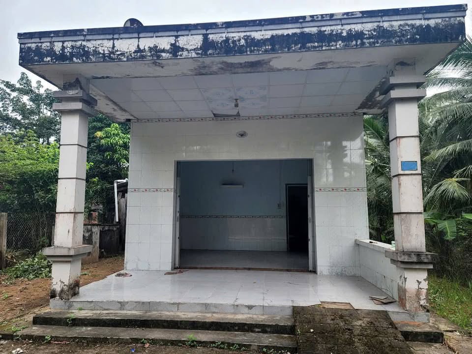 Đất Phú Vang, Bình Đại 837.69m² giá 700 triệu - Sẵn sàng xây dựng!