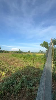 Đất nền 7500m² tại xã Đá Bạc, Châu Đức - Giá chỉ 27 tỷ, mặt tiền rộng 39m!