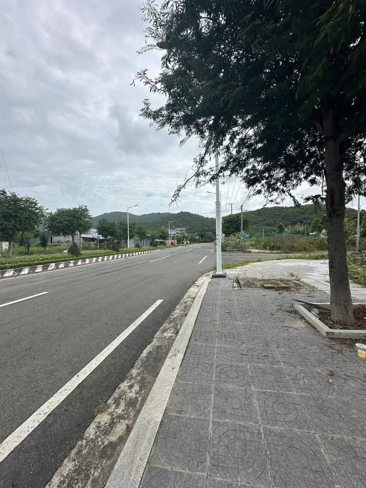 Đất mặt tiền đường số 7 Long Hải 98m² giá 3.49 tỷ - Cơ hội đầu tư hấp dẫn!